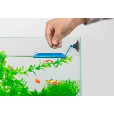 Aquarium Fish Tank Ring Feeder Floating Food Water Plant Buoyancy Circle Aquarium Fish Feeding Ring Square Circle