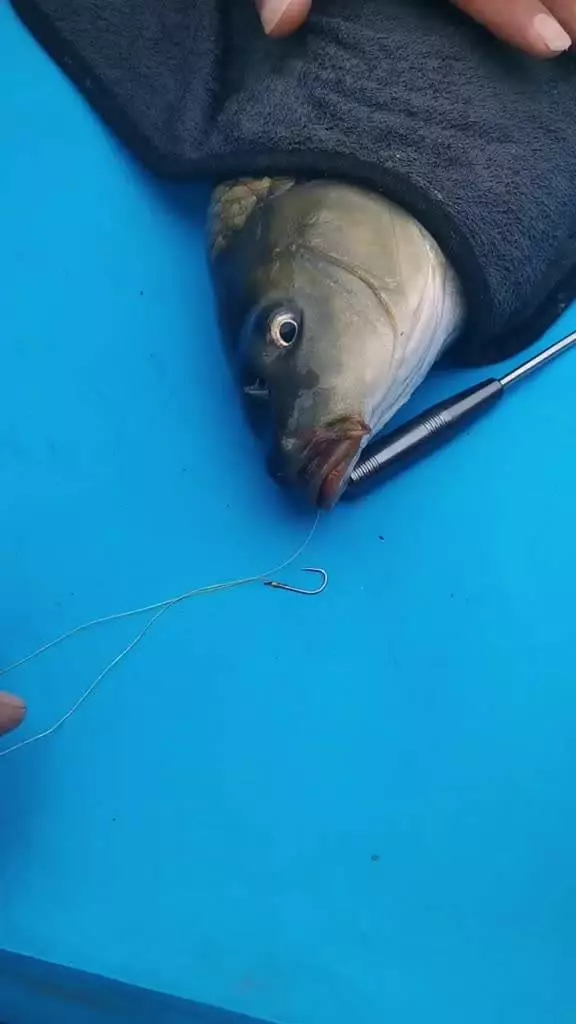 17 5cm Fishing Hook Quick Removal Device Security Extractor Stainless Steel Hook Detacher Removal Fishhook Disgorger