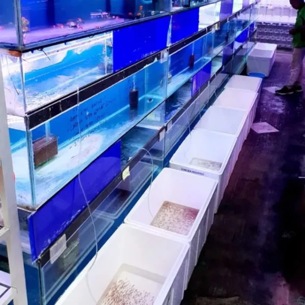 Aquarium Black Sand 500g