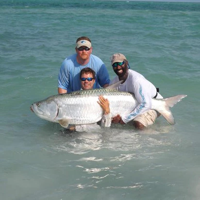 Soft Simulation Shrimp Prawn Lure Hook Tackle Bait Fishing Lures Artificial bait Luminous Shrimp 4cm