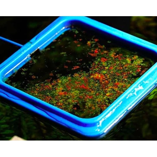 Aquarium Fish Tank Ring Feeder Floating Food Water Plant Buoyancy Circle Aquarium Fish Feeding Ring Square Circle