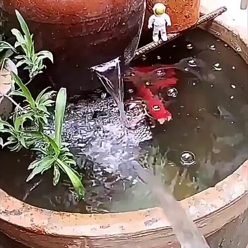 Ultra Strong Aquarium Water Purifier Tablets Fast Acting Removes Algae Toxins Safe for Fish Coral