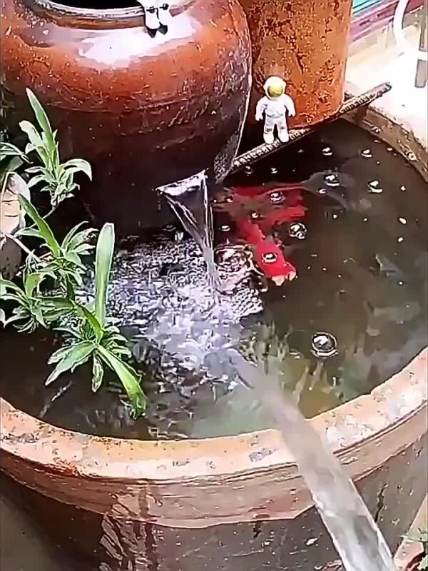 Ultra Strong Aquarium Water Purifier Tablets Fast Acting Removes Algae Toxins Safe for Fish Coral