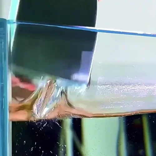 Aquarium Glass Cleaner Scale Removal Scratch Free Cleaning Pad for Fish Tank