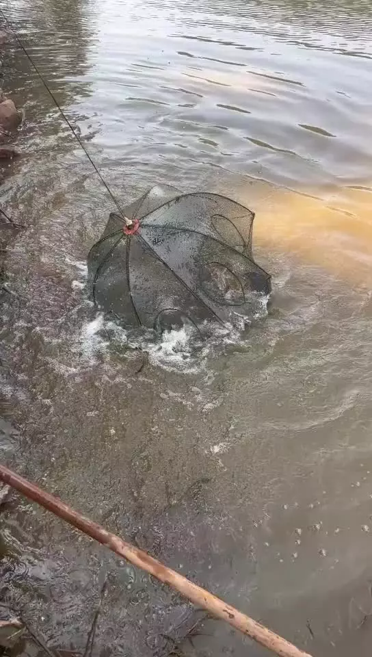 Portable Folding Fishing Net Shrimp Cage Nylon Automatic Foldable Catch Fish Trap