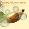 Fish Food Nutrient Rich Guppy Feed Stronger Growth