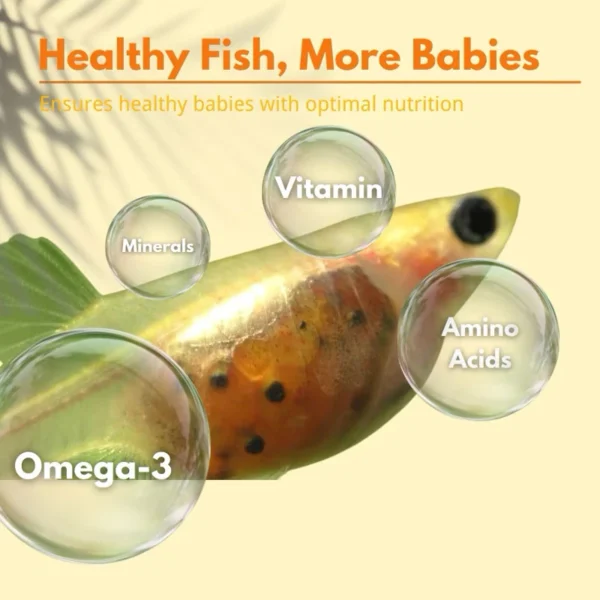 Fish Food Nutrient Rich Guppy Feed Stronger Growth