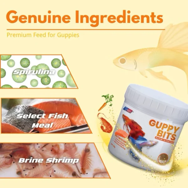 Fish Food Nutrient Rich Guppy Feed Stronger Growth