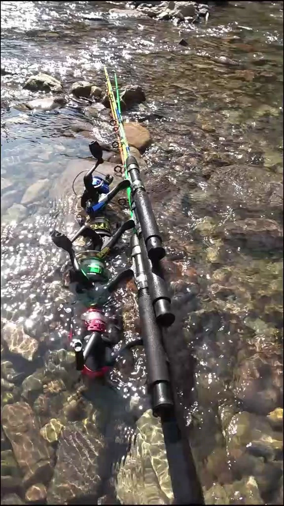 Spinning Fishing Rod