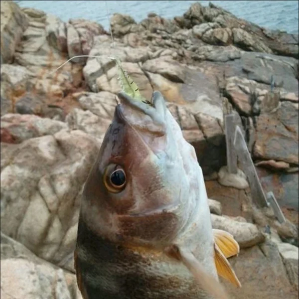 Soft Simulation Shrimp Prawn Lure Hook Tackle Bait Fishing Lures Artificial bait Luminous Shrimp 4cm