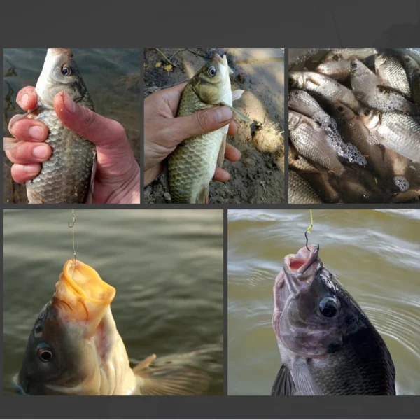 sg-11134201-7rbm1-lo4vt4pfjr69e5.webp 12pcs Fishing Flipping Hook Automatic Anti Running Fish Anti Drop Line Double Barb With Titanium Manganese Alloy Magic Handy