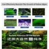 Algaecide Algae Moss Removal Agent Clear Green Water For Aquarium Fish Tank Pond