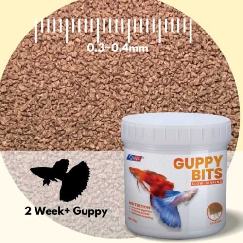 Fish Food Nutrient Rich Guppy Feed Stronger Growth