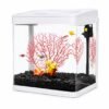 OSEAN MASTER Aquarium Set Complete Glass Fish Tank with Filter Pump Clear View Easy Setup Home Ofc